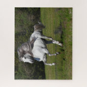 Bob Langrish | Grijze Andalucian Stallion Running Legpuzzel (Verticaal)