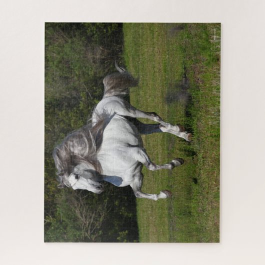 Bob Langrish | Grijze Andalucian Stallion Running Legpuzzel (Verticaal)