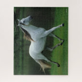 Bob Langrish | Grijze Andalucian Stallion Running Legpuzzel (Verticaal)