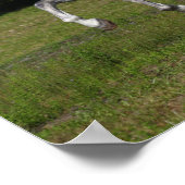 Bob Langrish | Grijze Andalucian Stallion Running Poster (Hoek)