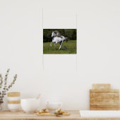 Bob Langrish | Grijze Andalucian Stallion Running Poster (Keuken)