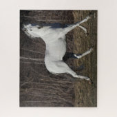 Bob Langrish | Grijze Andalucian Stallion Walking Legpuzzel (Verticaal)