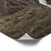 Bob Langrish | Grijze Andalucian Stallion Walking Poster (Hoek)