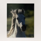 Bob Langrish | Grijze Andalusiaanse hoofdfoto met  Legpuzzel (Verticaal)