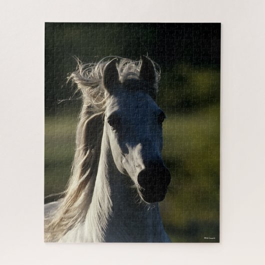 Bob Langrish | Grijze Andalusiaanse hoofdfoto met  Legpuzzel (Verticaal)