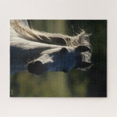 Bob Langrish | Grijze Andalusiaanse hoofdfoto met  Legpuzzel (Horizontaal)