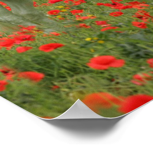 Bob Langrish | Grijze Arabier in de rode bloemen Poster (Hoek)