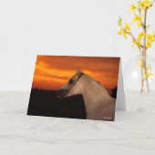 Bob Langrish | Grijze Arabische foto op Sunset Kaart (Gele Bloem)