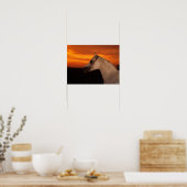 Bob Langrish | Grijze Arabische foto op Sunset Poster (Keuken)