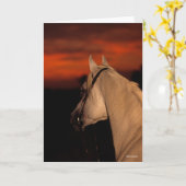 Bob Langrish | Grijze Arabische foto op zonsonderg Kaart (Gele Bloem)