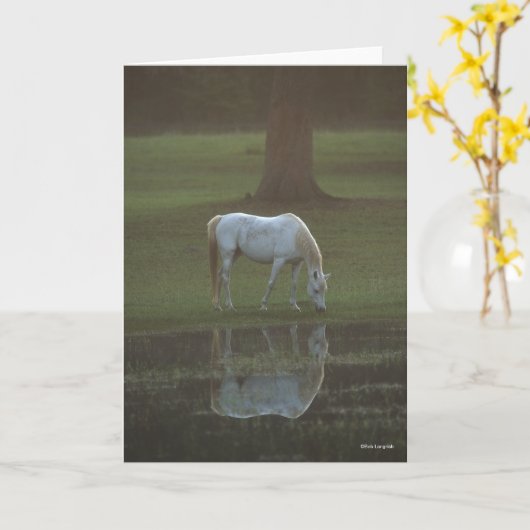 Bob Langrish | Grijze Arabische Graaswaterreflecti Kaart (Gele Bloem)