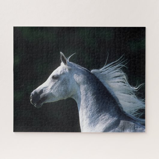 Bob Langrish | Grijze Arabische hoofdfoto 3 Legpuzzel (Horizontaal)