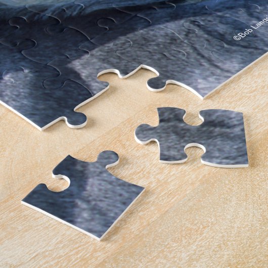 Bob Langrish | Grijze Arabische hoofdfoto 3 Legpuzzel (Zijkant)