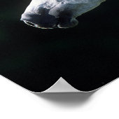 Bob Langrish | Grijze Arabische hoofdfoto 3 Poster (Hoek)