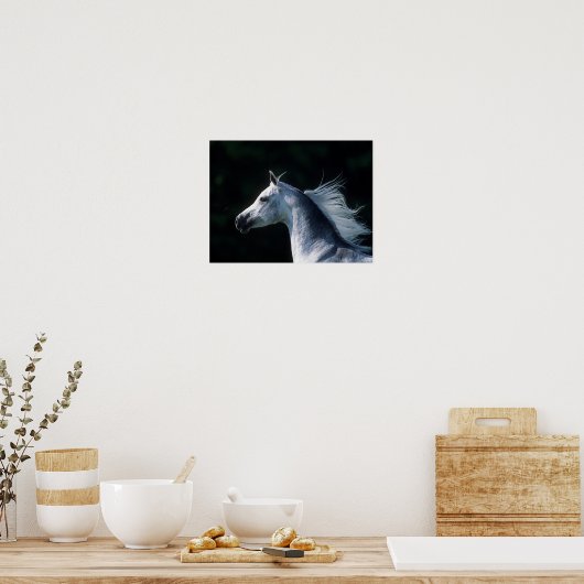 Bob Langrish | Grijze Arabische hoofdfoto 3 Poster (Keuken)