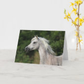 Bob Langrish | Grijze Arabische hoofdfoto Kaart (Gele Bloem)