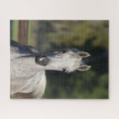 Bob Langrish | Grijze Arabische hoofdfoto Legpuzzel (Horizontaal)