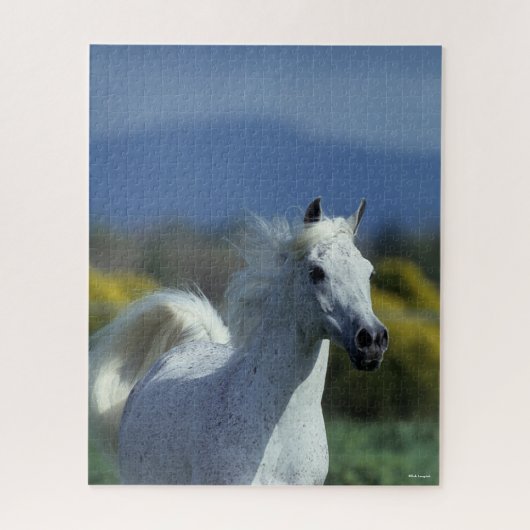 Bob Langrish | Grijze Arabische hoofdfoto Legpuzzel (Verticaal)