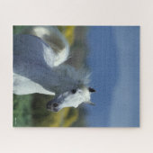 Bob Langrish | Grijze Arabische hoofdfoto Legpuzzel (Horizontaal)