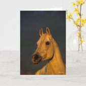 Bob Langrish | Grijze Arabische hoofdfoto op zonso Kaart (Gele Bloem)