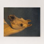 Bob Langrish | Grijze Arabische hoofdfoto op zonso Legpuzzel (Horizontaal)