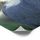 Bob Langrish | Grijze Arabische hoofdfoto Poster (Hoek)