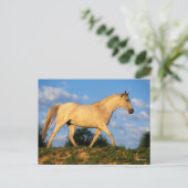 Bob Langrish | Grijze Arabische looptijden Briefkaart (Staand voorkant)