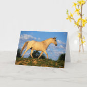 Bob Langrish | Grijze Arabische looptijden Kaart (Gele Bloem)