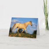 Bob Langrish | Grijze Arabische looptijden Kaart (Voorkant)