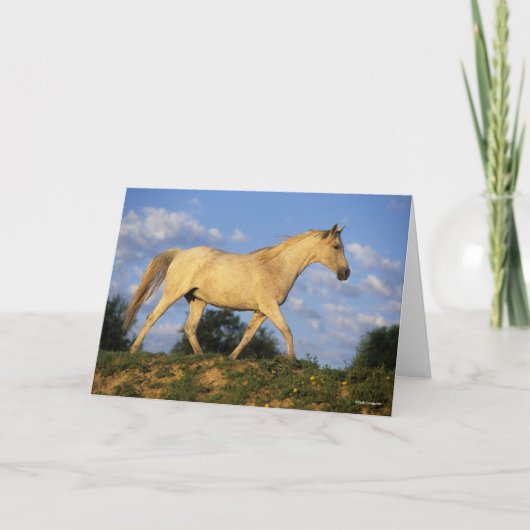 Bob Langrish | Grijze Arabische looptijden Kaart (Voorkant)