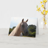 Bob Langrish | Grijze Arabische Stallion Headshot  Kaart (Gele Bloem)