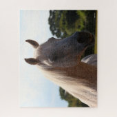 Bob Langrish | Grijze Arabische Stallion Headshot  Legpuzzel (Verticaal)