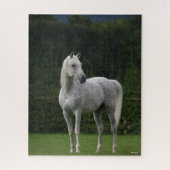 Bob Langrish | Grijze Arabische Stallion Legpuzzel (Verticaal)