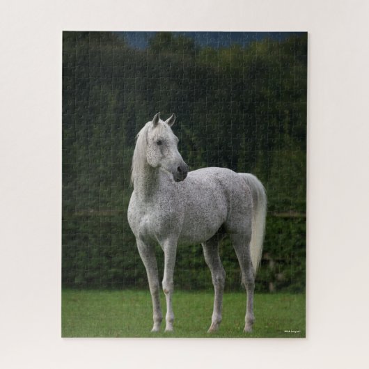 Bob Langrish | Grijze Arabische Stallion Legpuzzel (Verticaal)