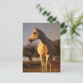 Bob Langrish | Grijze Arabische stand Briefkaart (Staand voorkant)