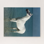 Bob Langrish | Grijze Arabische stand in de Zee Legpuzzel (Horizontaal)