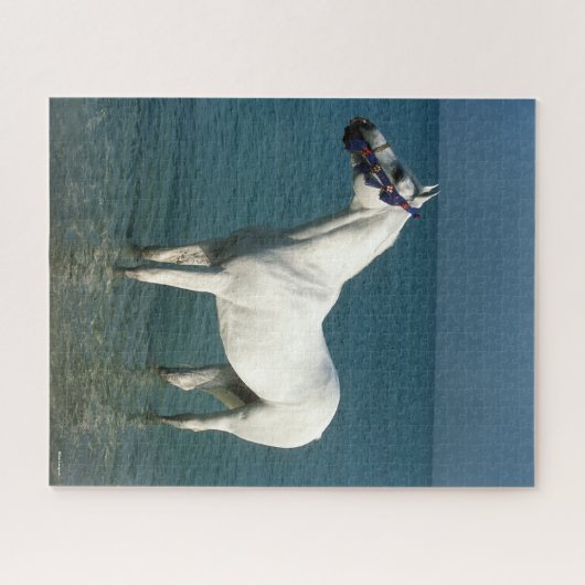 Bob Langrish | Grijze Arabische stand in de Zee Legpuzzel (Horizontaal)