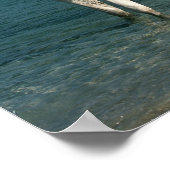 Bob Langrish | Grijze Arabische stand in de Zee Poster (Hoek)