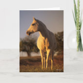 Bob Langrish | Grijze Arabische stand Kaart (Voorkant)