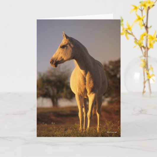 Bob Langrish | Grijze Arabische stand Kaart (Gele Bloem)