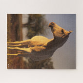 Bob Langrish | Grijze Arabische stand Legpuzzel (Horizontaal)