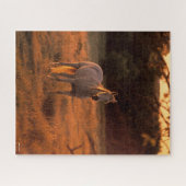 Bob Langrish | Grijze Arabische stand op zonsonder Legpuzzel (Horizontaal)