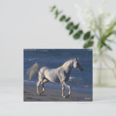 Bob Langrish | Grijze Arabische stroop loopt op st Briefkaart (Staand voorkant)