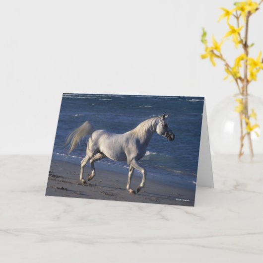 Bob Langrish | Grijze Arabische stroop loopt op st Kaart (Gele Bloem)