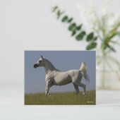 Bob Langrish | Grijze Arabische zilver in het veld Briefkaart (Staand voorkant)