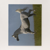 Bob Langrish | Grijze Arabische zilver in het veld Legpuzzel (Verticaal)