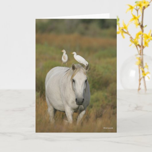 Bob Langrish | Grijze Camargue Paarden met twee vo Kaart (Gele Bloem)