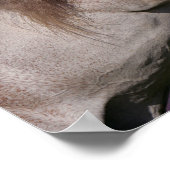 Bob Langrish | Grijze eenhoornhouderij Poster (Hoek)