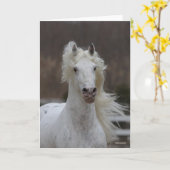 Bob Langrish | Grijze Friesian Appaloosa-hoofdscho Kaart (Gele Bloem)