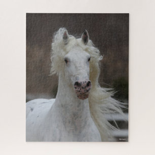 Bob Langrish Grijze Friesian Appaloosa-hoofdscho Legpuzzel
